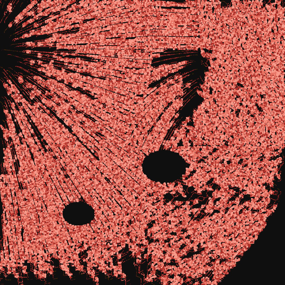 Waking Field