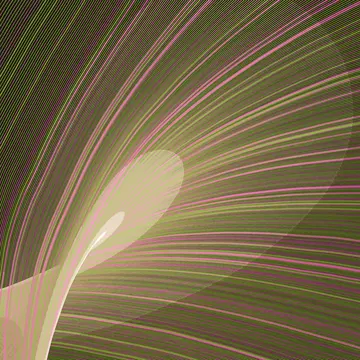 Caustics, seed 2